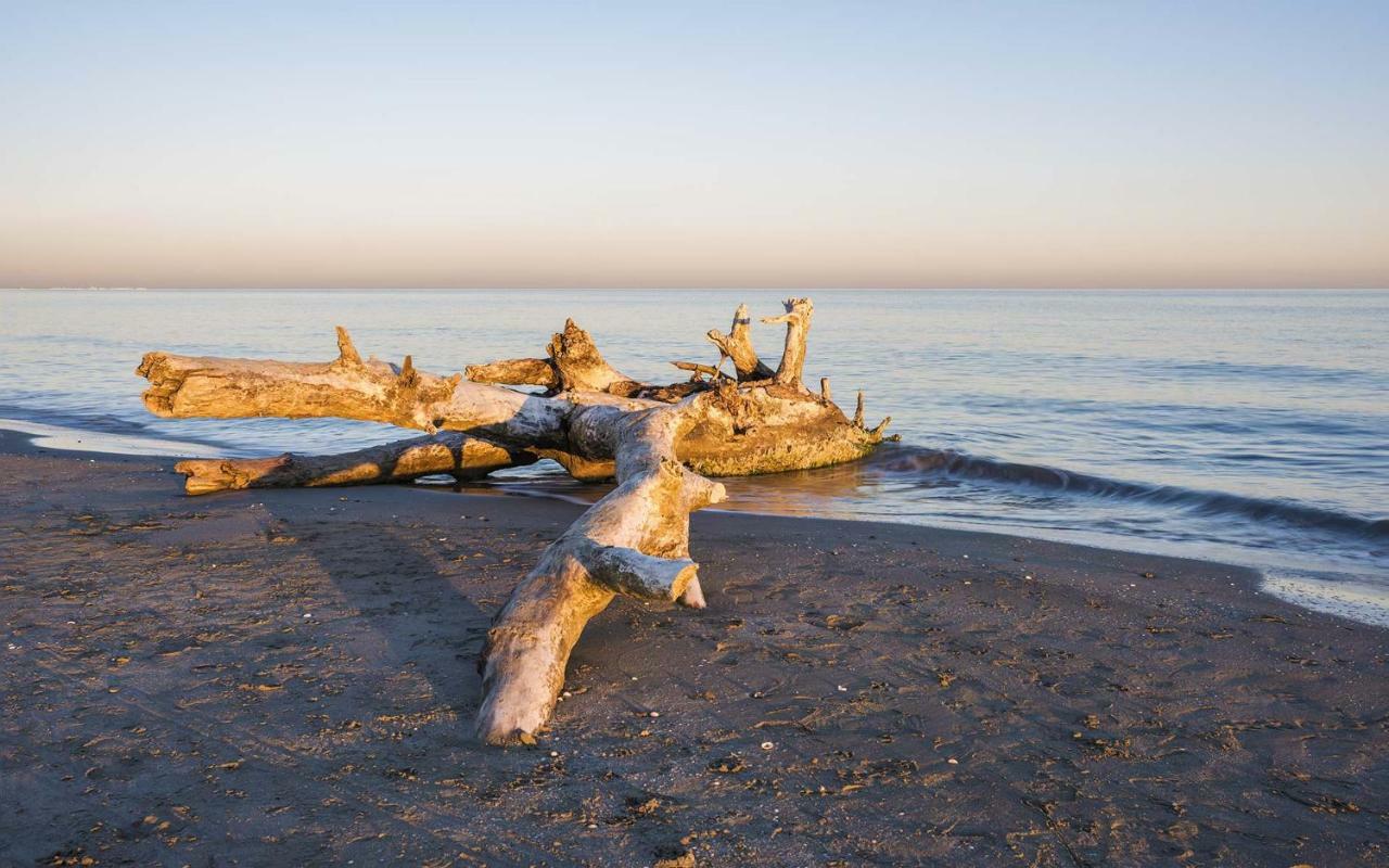 Camping Horizon Bar Frontignan Kültér fotó
